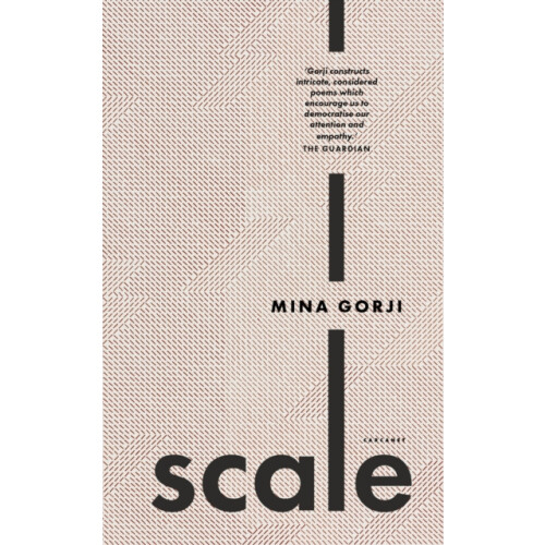 Scale by Mina Gorji Paperback Book