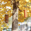 Chakra Bambus Windspiele Meditationsdeko - 164x64mm 2