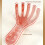 Kopfhaut-Massage-Werkzeug, ergonomischer-Bernstein 5