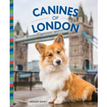 Canines of London by Bridget Davey Hardcover Book
