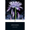 Blind Owl by Sadeq Hedayat Paperback Book 1
