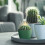 Prosperplast Minuteur de prise connectée TUYA Smart WIFI 2