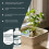 Liquid Nutrients for Plant Hydroponic Liquid Hydroponic 4