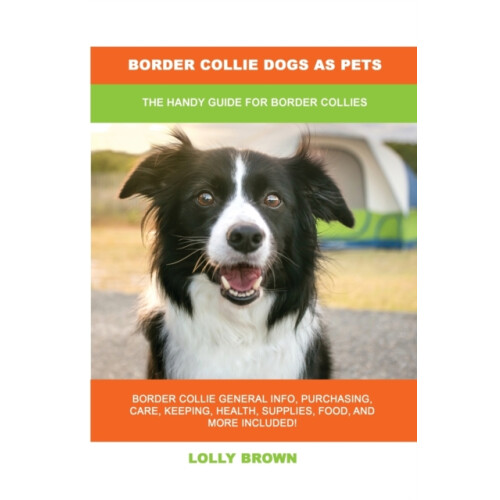 Border Collie Dogs as Pets by Lolly Brown Paperback Book