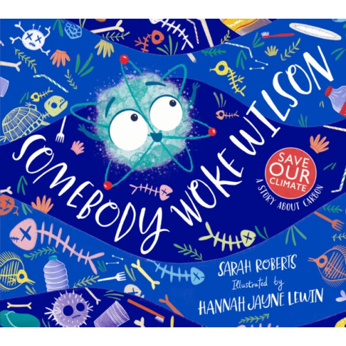 Somebody Woke Wilson by Sarah Roberts Paperback Book