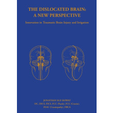 The Dislocated Brain A New Perspective by Jonathan Howat Paperback Boo