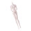 Customizable Figure Doll Body with Joints Realistic-white skin 1
