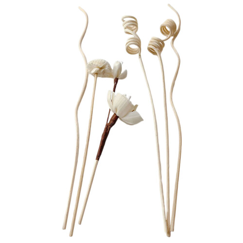 30Stk Reed Diffuser Sticks Weiß Für Aromatherapie Und Spa