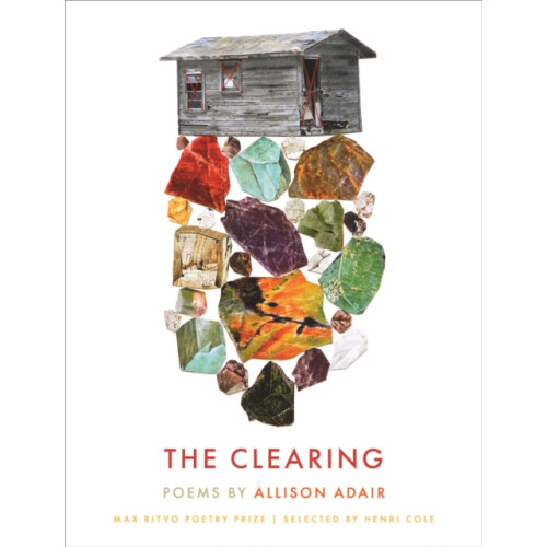 The Clearing by Allison Adair Paperback Book