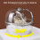 Mini Transparent Hamster Sand Bathtub Apple Shape Dual Use Plastic 4
