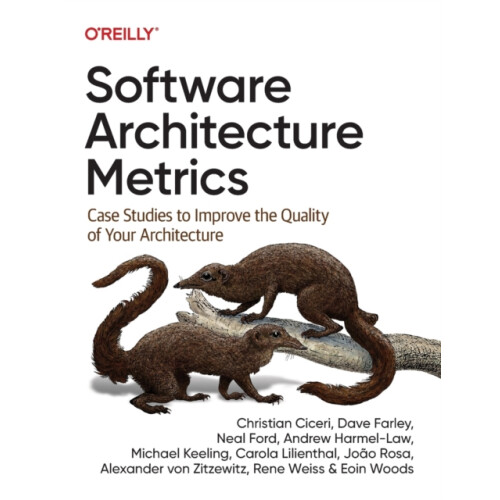 Software Architecture Metrics by Carola Lilienthal Paperback Book