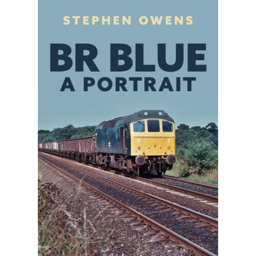 BR Blue A Portrait by Stephen Owens Paperback Book