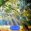 Kletterseil Baumschaukel Indoor Outdoor Disc 6
