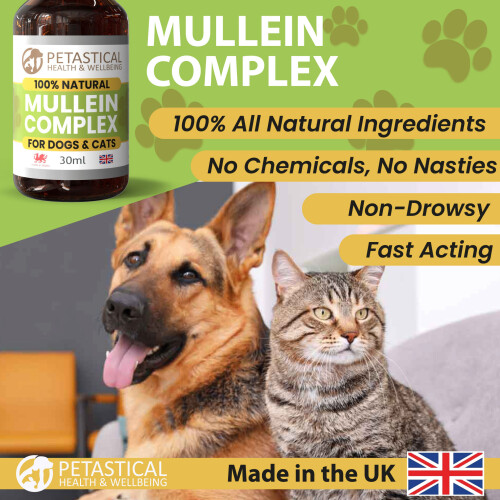 Petastical Mullein Complex for Dogs Cats (30ml) 1