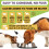 Petastical Mullein Complex for Dogs Cats (30ml) 4