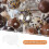 50 Stuks Chocolade Truffle Lijningspapier Suikergoed 9