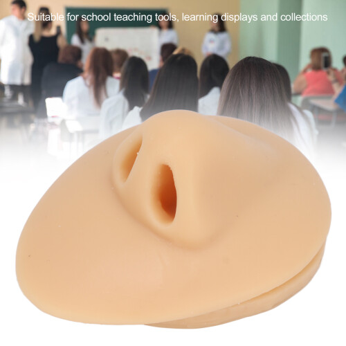 Modèle de nez simulé - outil d'affichage en silicone souple 2