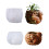 Detailed Silicone Crafting Mold Containers Moulds for-pattern 1 2