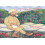 I Remember by Maidah Ahmad Hardcover Book 1