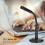 Microphone de bureau USB, câble de 140 cm, omnidirectionnel, noir 9