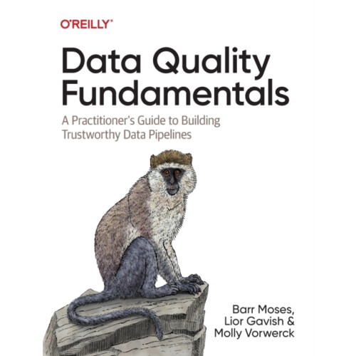 Data Quality Fundamentals by Molly Vorwerck Paperback Book