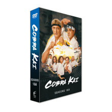 Cobra Kai seasons 1-6 Movie Collection (English)DVD Box Set- 14 Discs