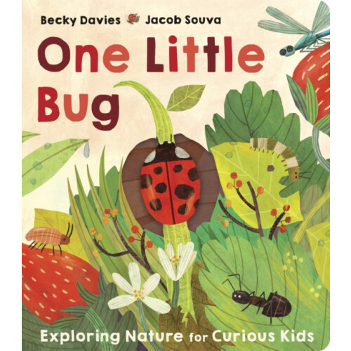 One Little Bug by Becky Davies Other Book