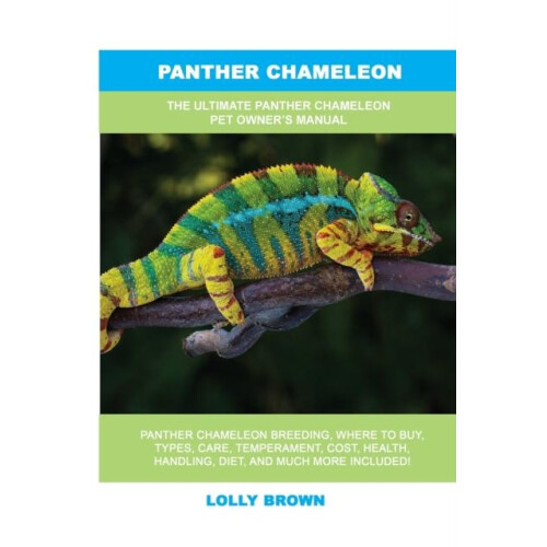 Panther Chameleon by Lolly Brown Paperback Book