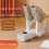Timer Schoenendroger Dubbele standaard Schoenen- en 4
