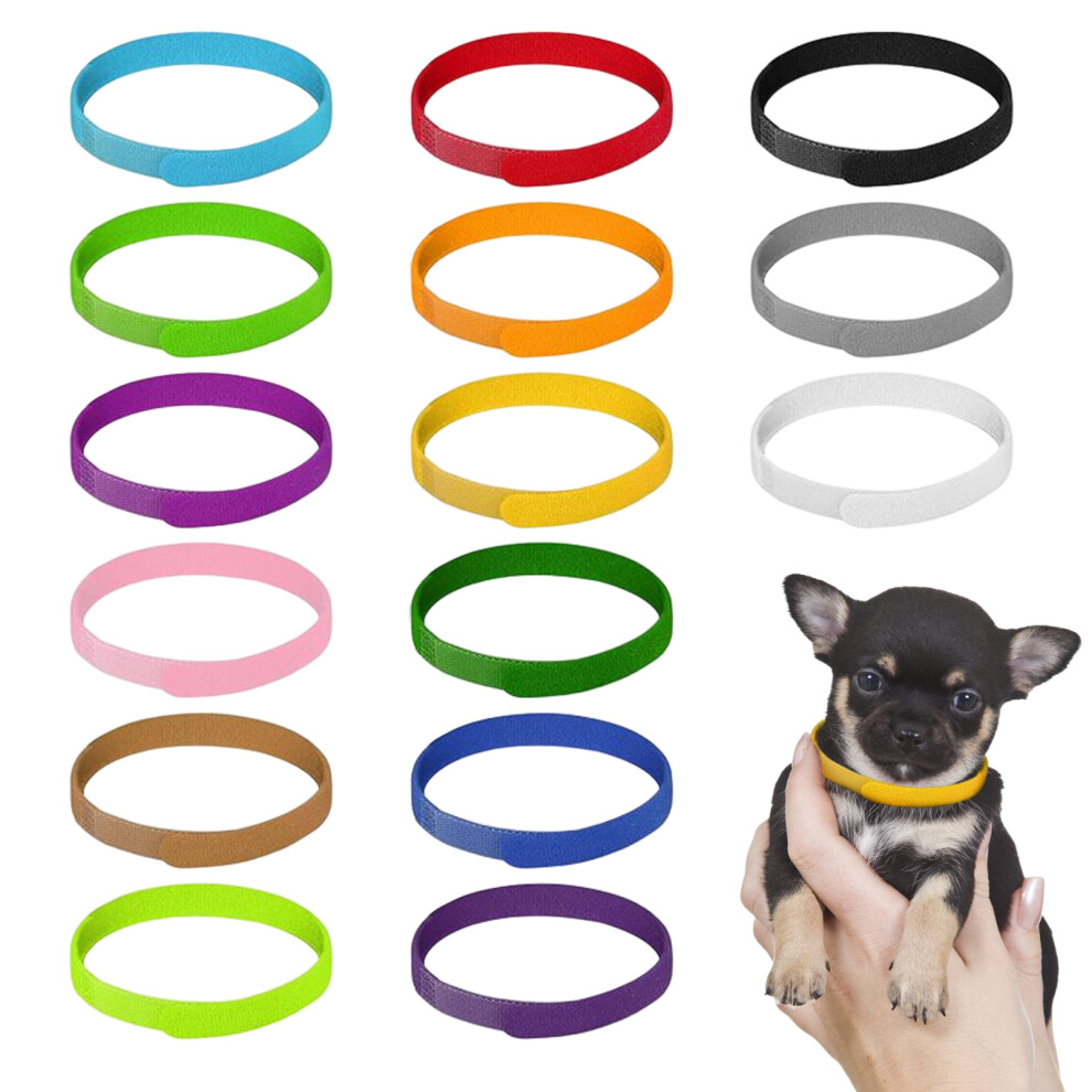 15piece Convenient Puppy ID Collars Easily Track And Identify Puppies-image-OPC-PMRCBGT-NEW