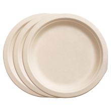 Assiettes Jetables en Papier Plateau pour Grillades Gâteaux ÉCO 25 cm 10 Pièces