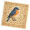 Ready To Stitching Bird Designs Set Print Fabric Detailed-D 1