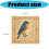 Ready To Stitching Bird Designs Set Print Fabric Detailed-D 4