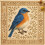 Ready To Stitching Bird Designs Set Print Fabric Detailed-D 5