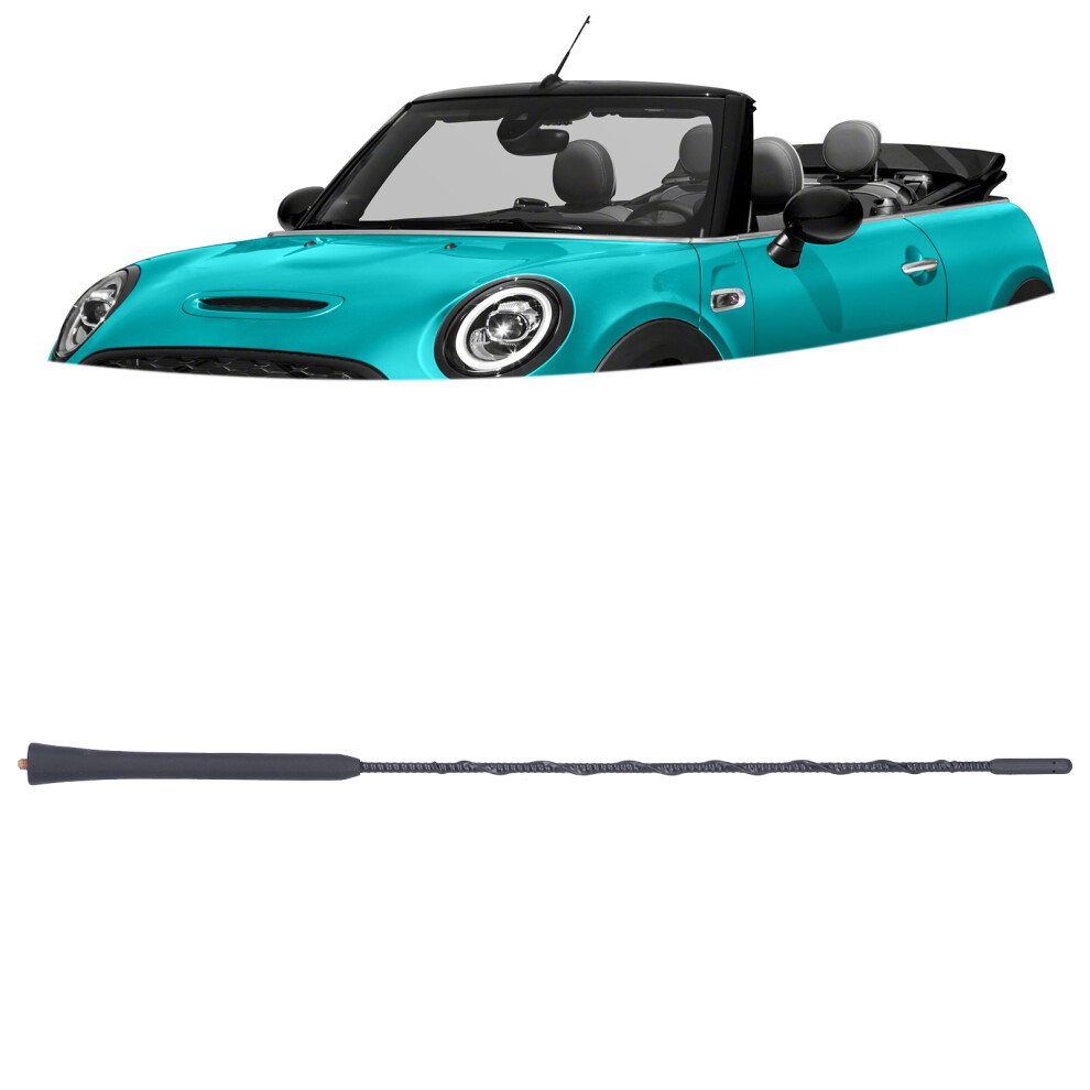 16In Roof-Mounted Car Antenna For Cooper Replacement Black 3641358037019