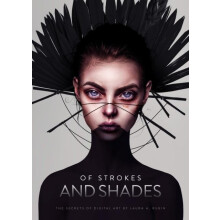 Of Strokes and Shades by Laura H. Rubin Hardcover Book