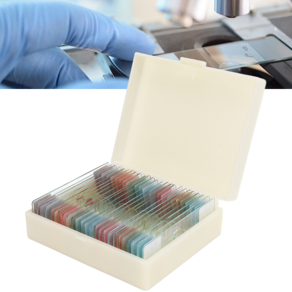 25 Prepared Microscope Slides of Plant Insect Animal Tissue Cells