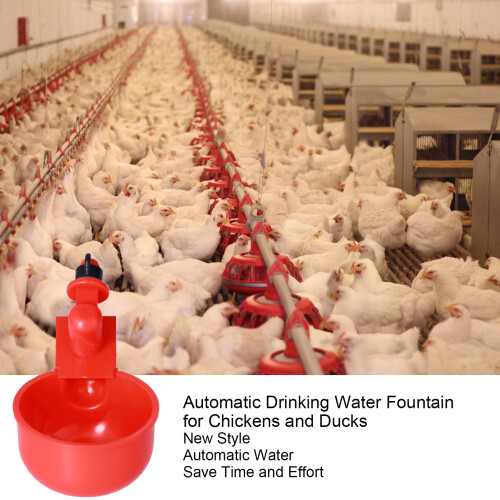 Coppe abbeveratoio automatiche per polli, in plastica, da appendere 2