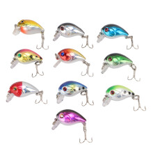 10Pcs Mini ABS Fishing Lures with 3D Eyes, Lifelike Bass Baits