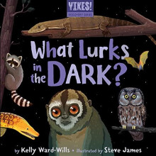 What Lurks in the Dark by Kelly WardWills Other Book