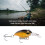 Mini Minnow Köder 6,2cm, 3D-Augen, ABS-Künstlicher Angelköder 5