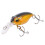 Mini Minnow Köder 6,2cm, 3D-Augen, ABS-Künstlicher Angelköder 16