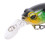 Mini Minnow Köder 6,2 cm 3D-Augen Künstlicher Angelköder für Outdoor 10