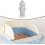 Dog Potty Training System Pee Pad Installation Guide Large Size Pee Pad Compatible 5