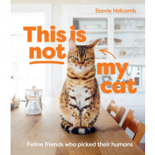 This is not my cat by Stevie Holcomb Hardcover Book