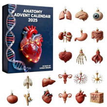 For Christmas Calendar 2025 Unique Anatomy-Theme for Educational Fun for Doctor Office Display
