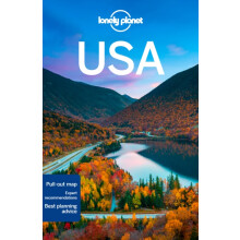Lonely Planet USA by Alison Bing Paperback Book