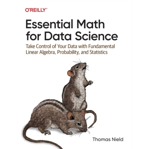 Essential Math for Data Science by Thomas Nield Paperback Book