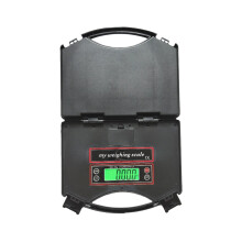 Electronic Scale 25kg Capacity 1g Resolution Express Delivery