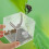 2 Unidades Transparente Para Aranha Saltadora E Insetos 11